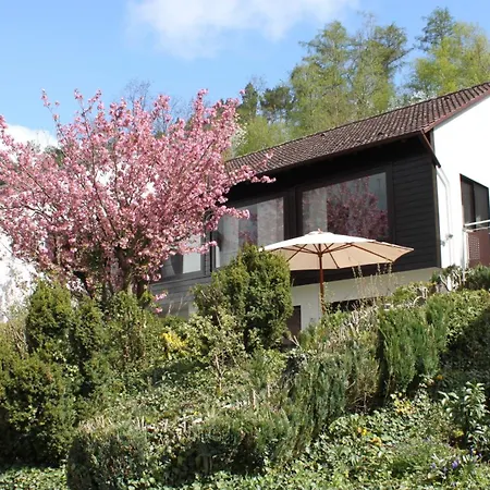 Blumenhain - Kirchblick Bad Wünnenberg