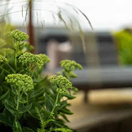 Apartment Blumenhain - Kirchblick Bad Wünnenberg